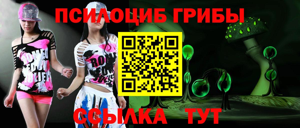 Псилоцибиновые грибы ЛСД Губкин