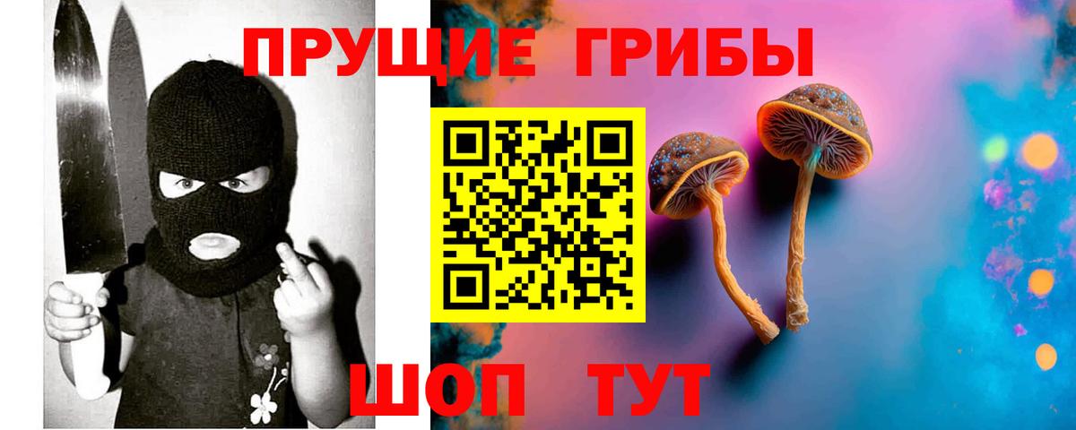 Галлюциногенные грибы Psilocybe  Вход с VPN  Губкин  Галлюциногенные грибы GOLDEN TEACHER 