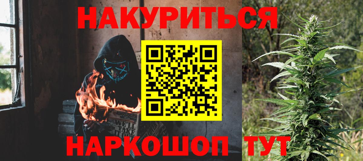 Канабис сатива Губкин